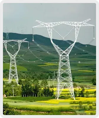 矩形 10 拷贝 3.webp