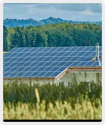 矩形 10 拷贝.webp