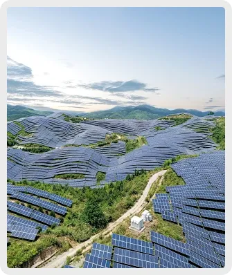 矩形 10 拷贝 3-1.webp