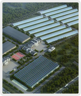 矩形 10 拷贝 2.webp